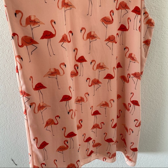 ❗️sold❗️Flinn & Grace Flamingo Print Dress - Picture 5 of 9